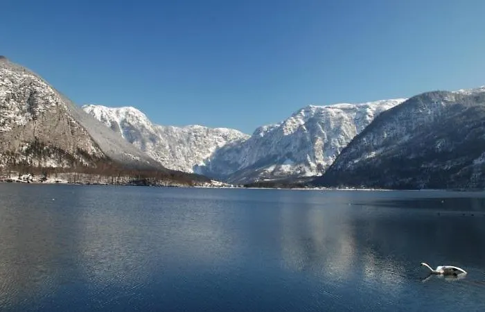 Krafttanken Direkt Am Appartement Hallstatt